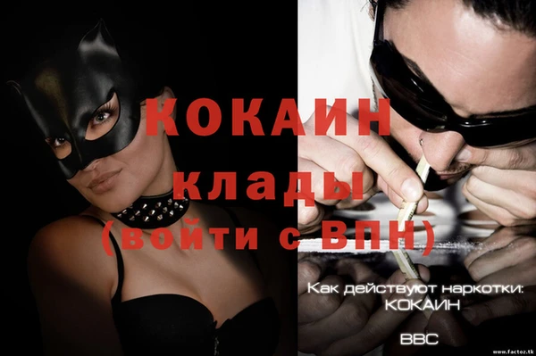 гидра Гусев