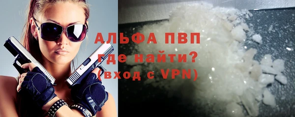 гидра Гусев
