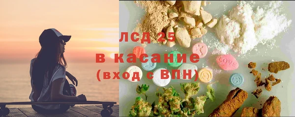 гидра Гусев