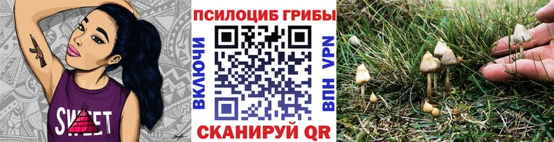 Псилоцибиновые грибы мицелий закладка KRAKEN сайт Павловск